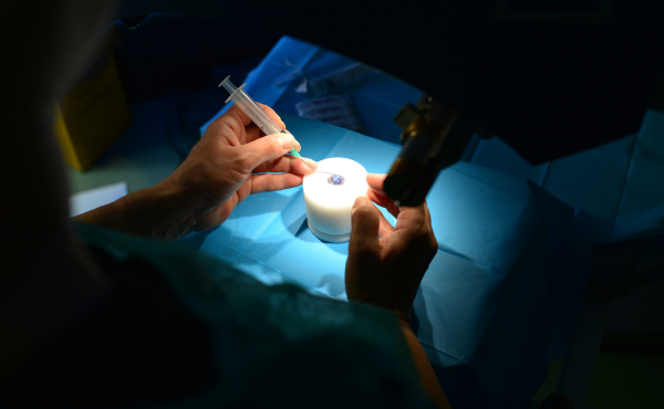 Invisalign and Orthodontic Care